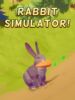 Rabbit Simulator cover